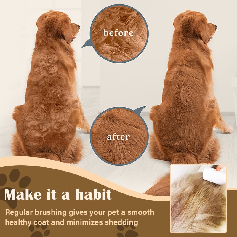 PawGroom – Self-Detangling Pet Brush & Comb – image 2