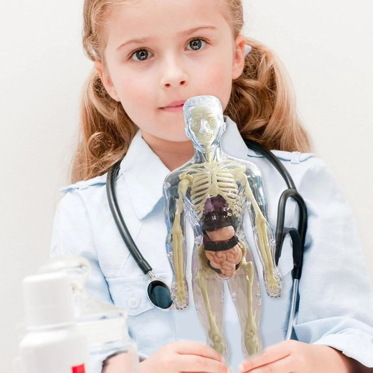 SmartSkeleton – Fun Stem Anatomy Model for Kids – image 9