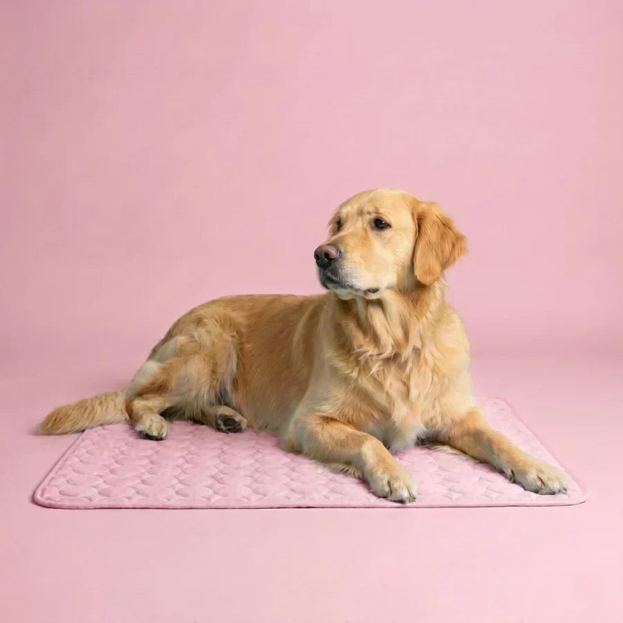 PolarComfort – Breathable Pet Cooling Bed – Pink / 50x40cm