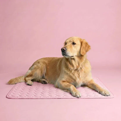 PolarComfort – Breathable Pet Cooling Bed – Pink / 50x40cm