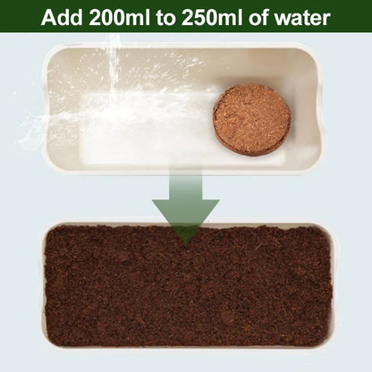 CocoBloom – Natural Coconut Coir Bricks for Plants – image 6