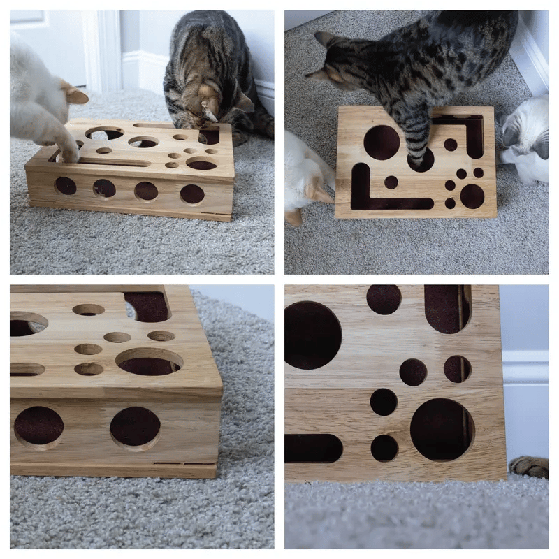 PawPuzzle – Cat Enrichment Scratch & Play Box – image 4