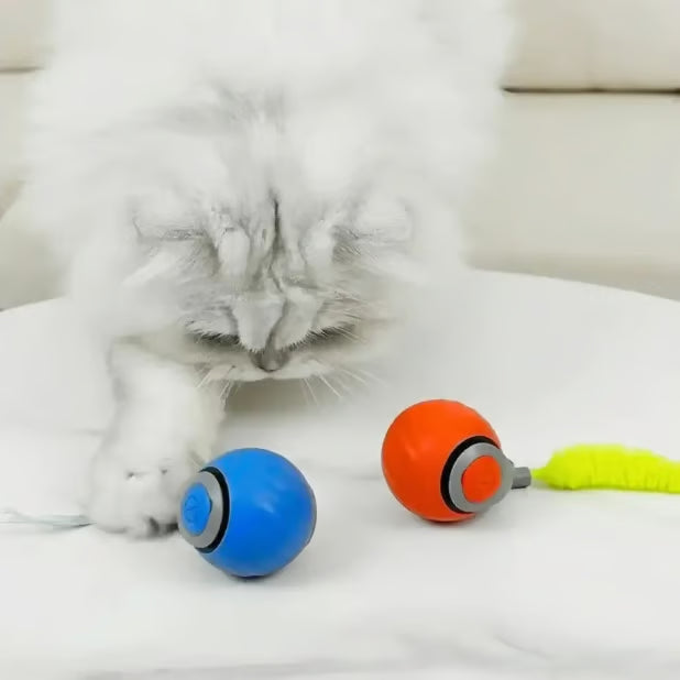CatChase – Electric Rolling Ball – Blue+Orange