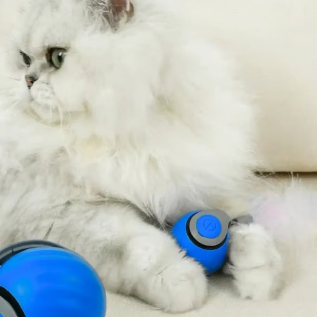 CatChase – Electric Rolling Ball – image 5