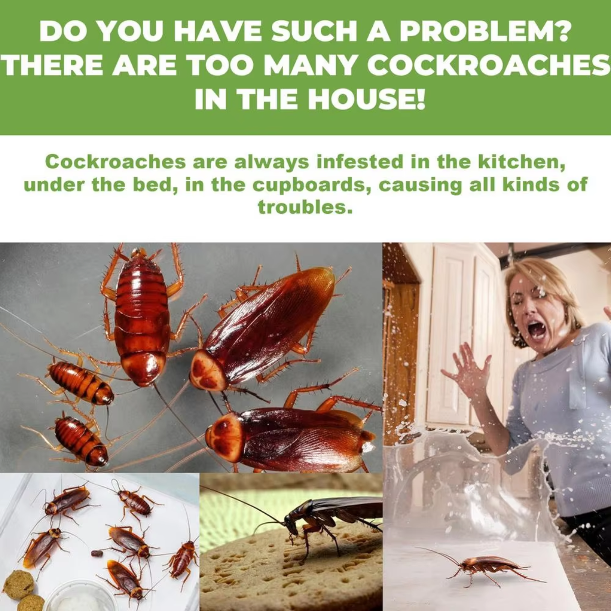 InsectBarrier – Roach Control Solution – image 3