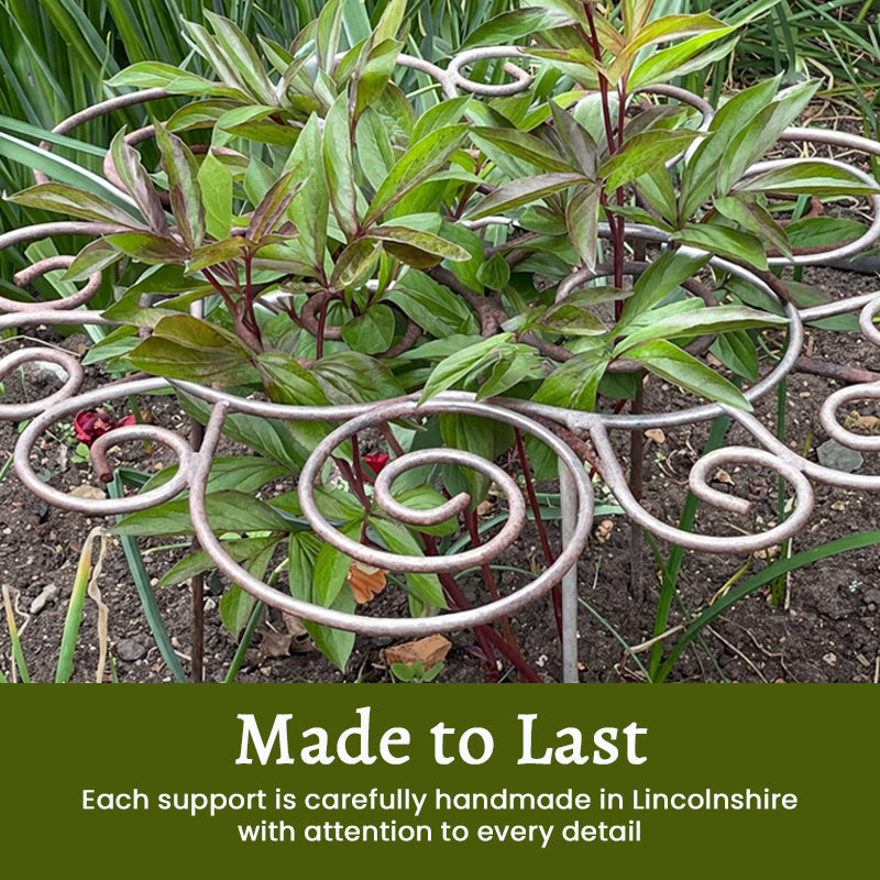 PetalHold – Hidden Plant Support – image 3