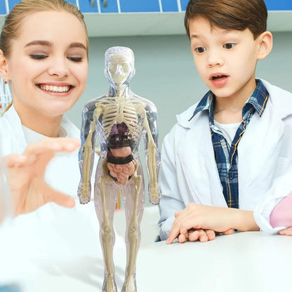 SmartSkeleton – Fun Stem Anatomy Model for Kids – image 4
