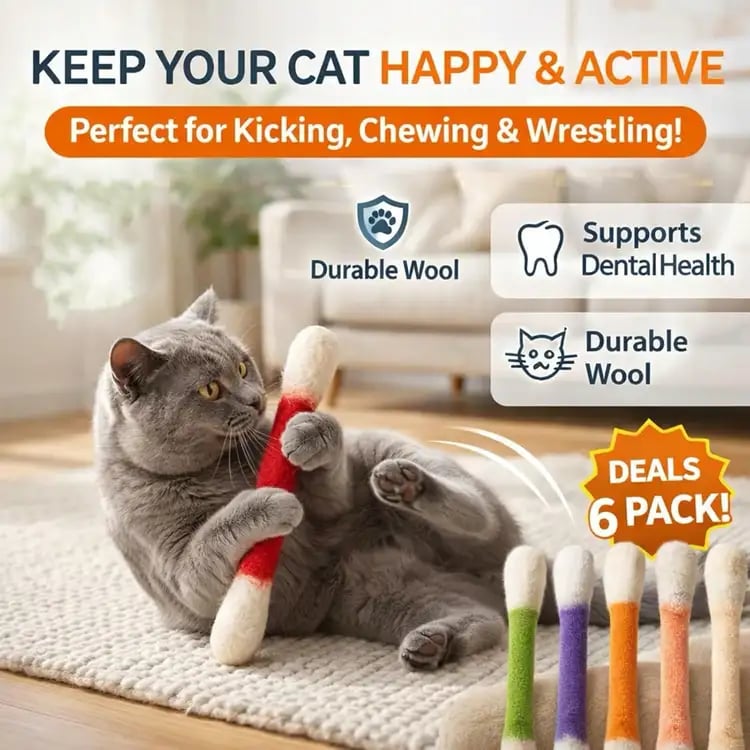 WhiskerFun – Multi Cat Swab Toy Set – image 8