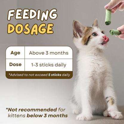 PurrChew – Natural Cat Grass Chew Sticks – image 7