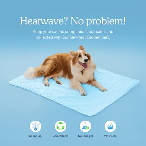 PawBreeze – Instant Cooling Pet Mat – image 9