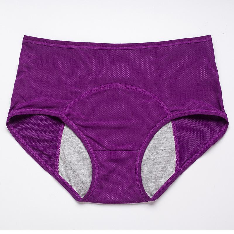 PureWear – Leak Proof High Waist Period Panties – image 20