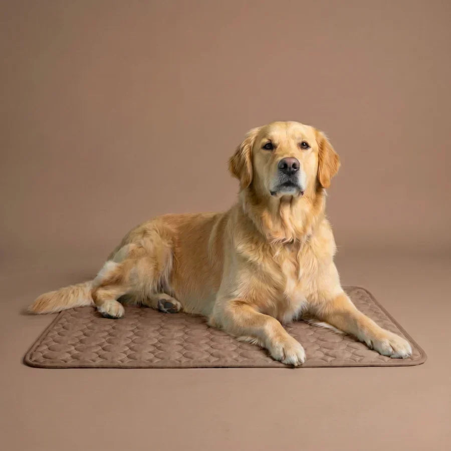 PolarComfort – Breathable Pet Cooling Bed – Brown / 50x40cm