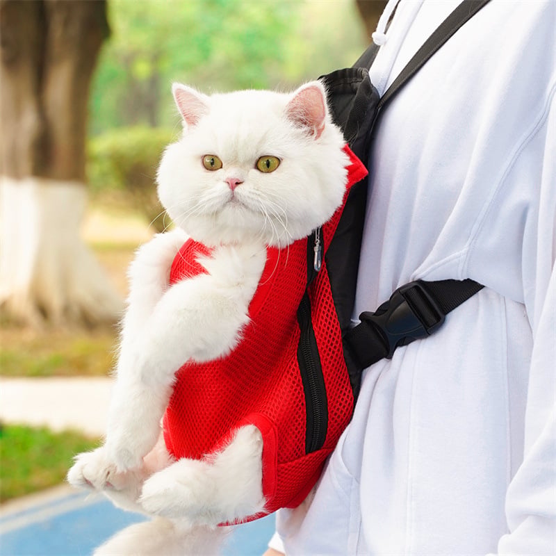 PawVoyage – Pet Travel Leg-Out Backpack – image 2