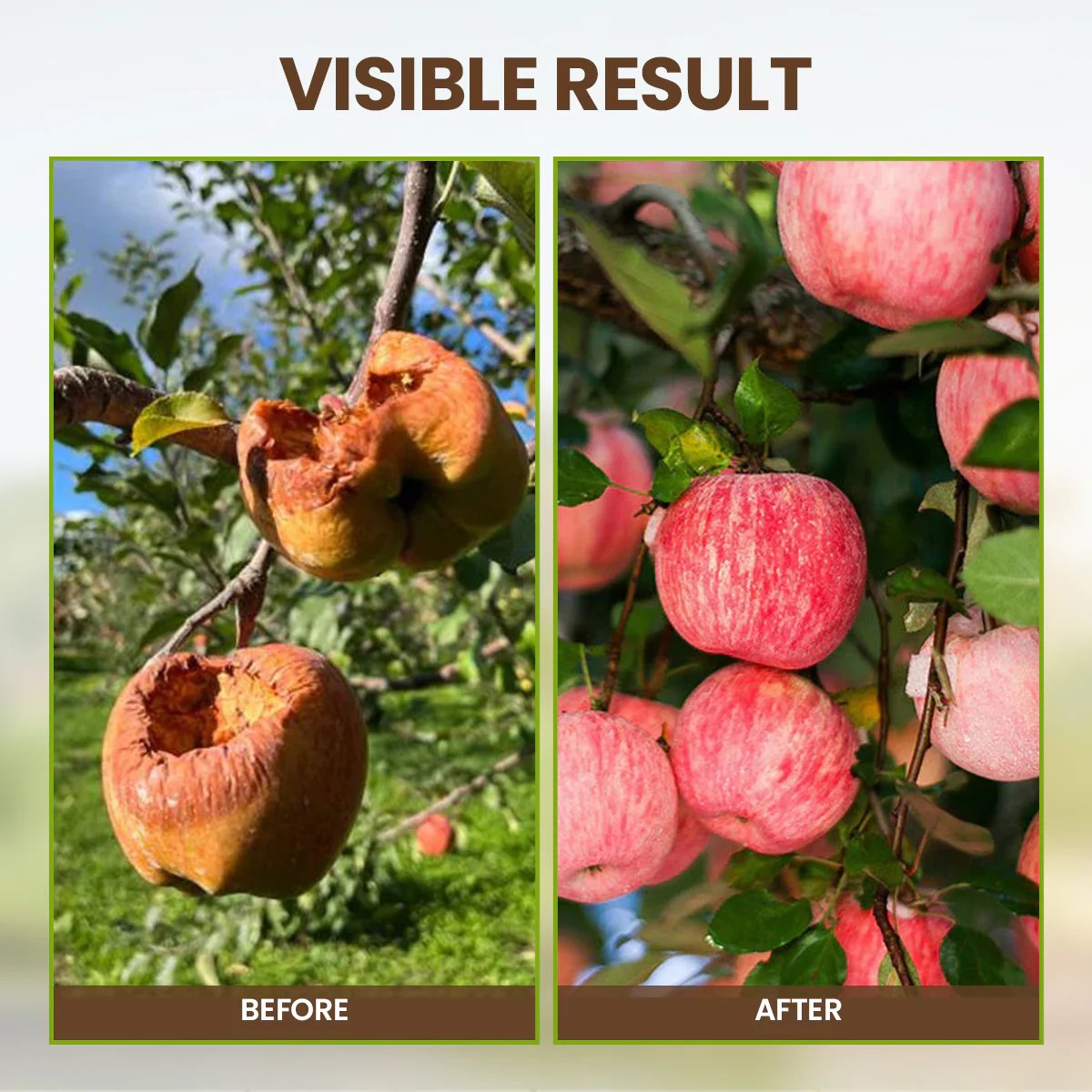 SoilNova – Soil Pro Activator – image 5