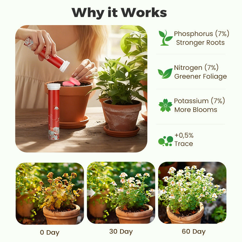 BloomFuel – Plant Growth Formula – image 8