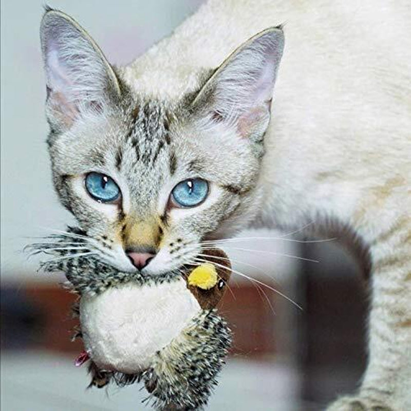 HuntFlap – Interactive Bird Cat Toy – image 14