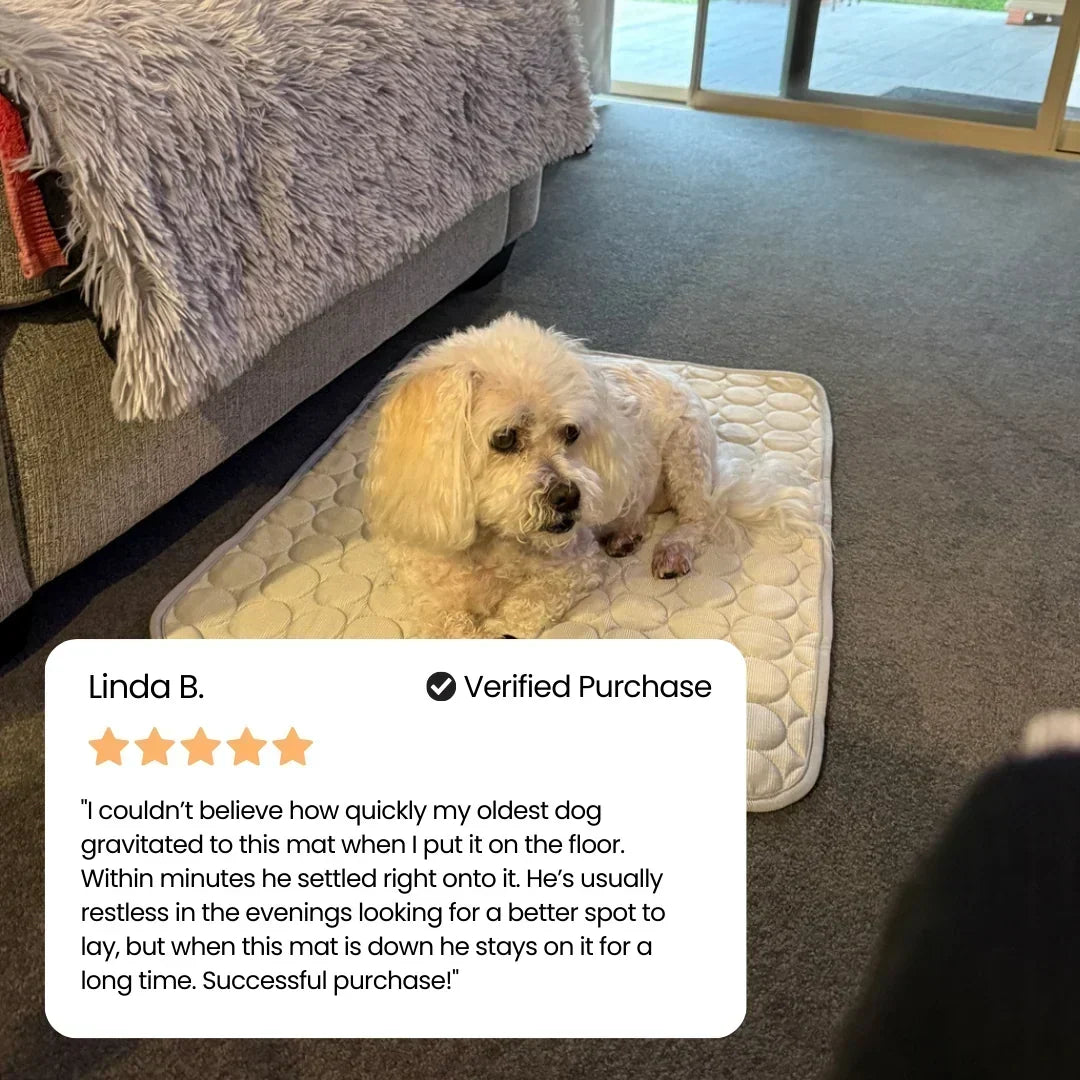 PolarComfort – Breathable Pet Cooling Bed – image 12