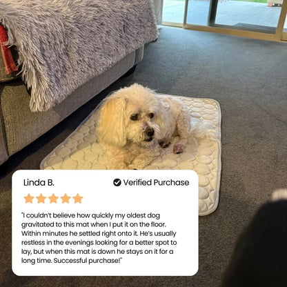 PolarComfort – Breathable Pet Cooling Bed – image 12