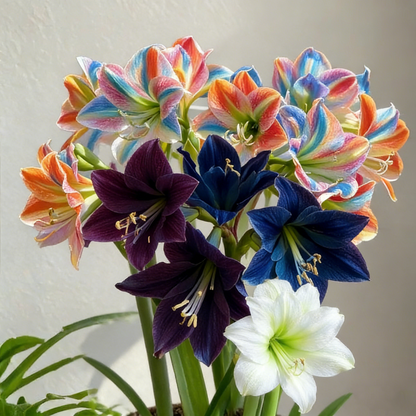 FloraCrown – Luxury Flower Bulbs – image 11