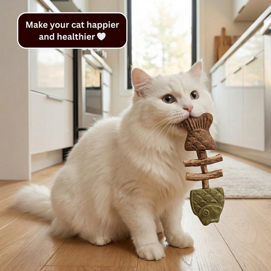 PurrGuard – Catnip & Silvervine Dental Chew Sticks – BUY 1 GET 1 FREE(2pcs)
