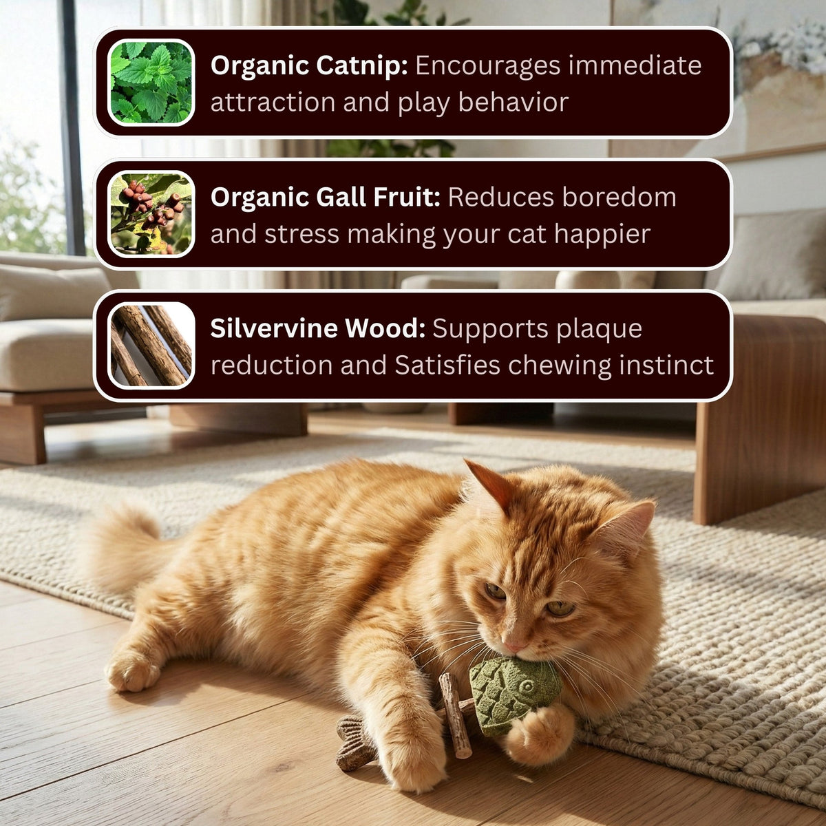 PurrGuard – Catnip & Silvervine Dental Chew Sticks – image 4
