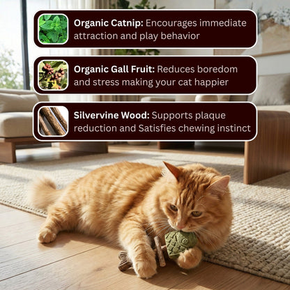 PurrGuard – Catnip & Silvervine Dental Chew Sticks – image 4