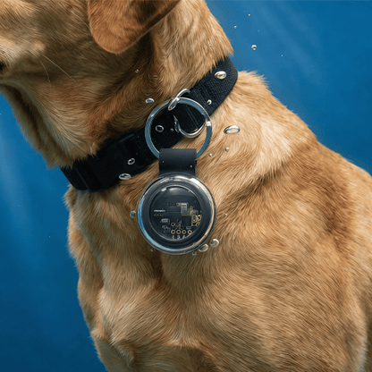 Findora – Mini Real-Time Smart Tracking Device – image 6