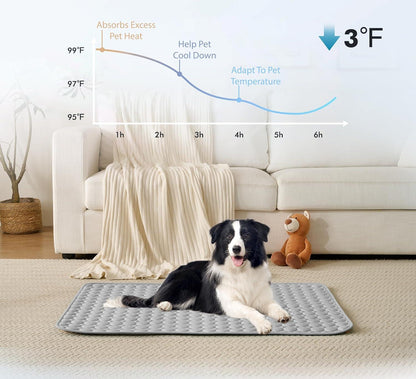PawBreeze – Instant Cooling Pet Mat – Gray / XS: 40×30 cm | 16×12"