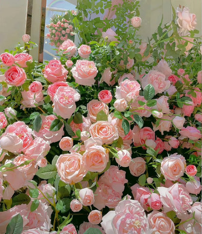 RoseCascade – Premium Climbing Rose Bulbs – image 17