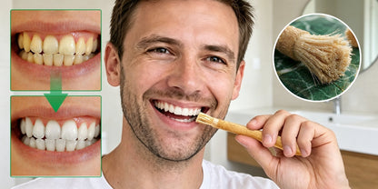 PureMiswak – Natural Toothbrush Sticks – image 7
