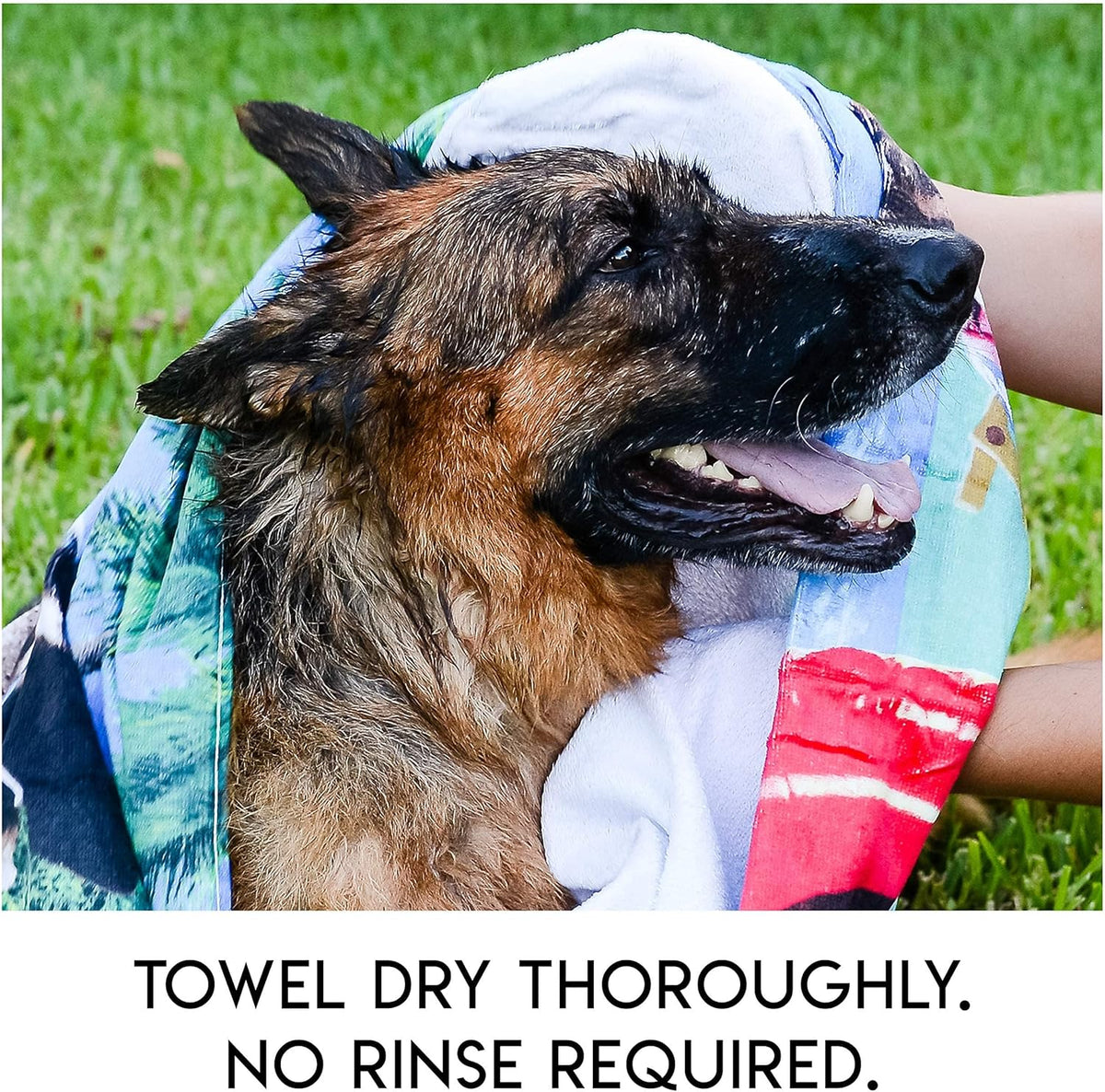 PawComfort – Rinse-Free Grooming Solution – image 2