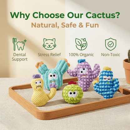 CatnipCove - Cactus Play Toy Collection – image 3