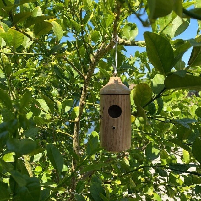 NatureSip – Wooden Hummingbird Feeder for Garden Lovers – image 11