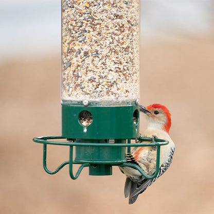 SeedGuard – Smart Hanging Bird Feeder – image 4