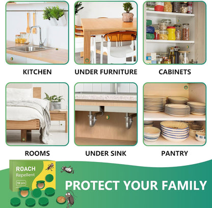 InsectBarrier – Roach Control Solution – image 6