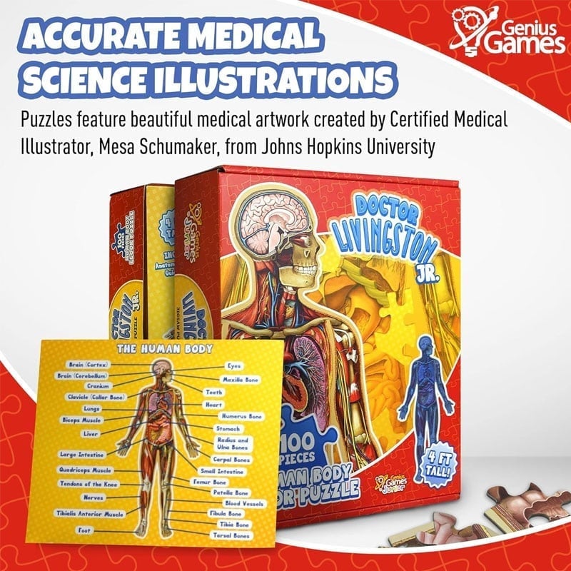 Organix – Interactive Anatomy Learning Puzzle – image 6