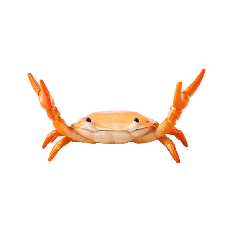 CrabFlex – Weightlifting Crab Pen Holder – Orange