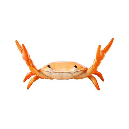 CrabFlex – Weightlifting Crab Pen Holder – Orange