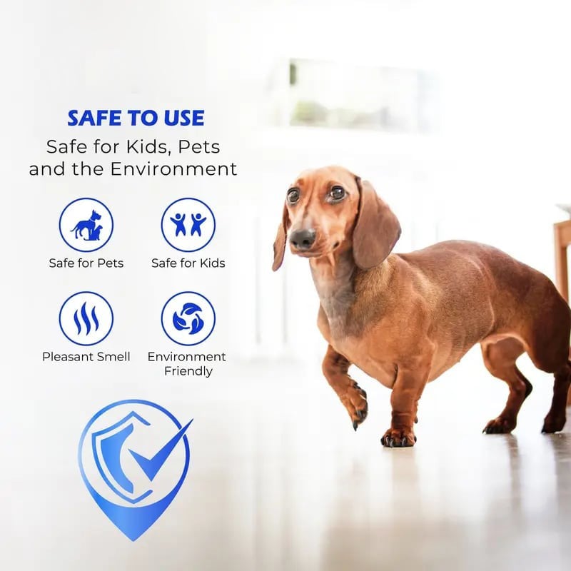 Clean-llx Floor Restorer – Shine & Protect Instantly – image 5