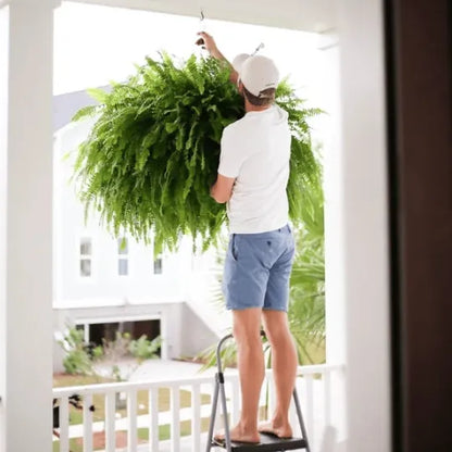 GreenGlow – Realistic Artificial Boston Fern – image 6