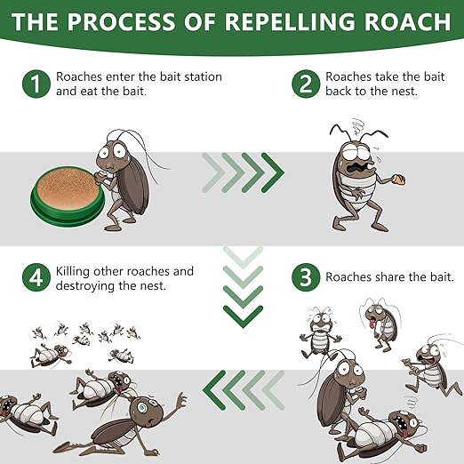 BugFree – Home Roach Protection Solution – image 2