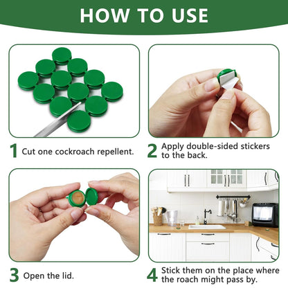 BugFree – Home Roach Protection Solution – image 5