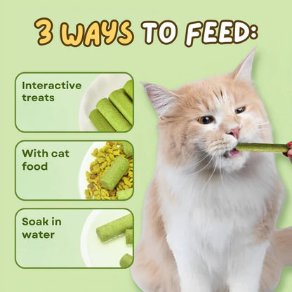 PurrChew – Natural Cat Grass Chew Sticks – image 5