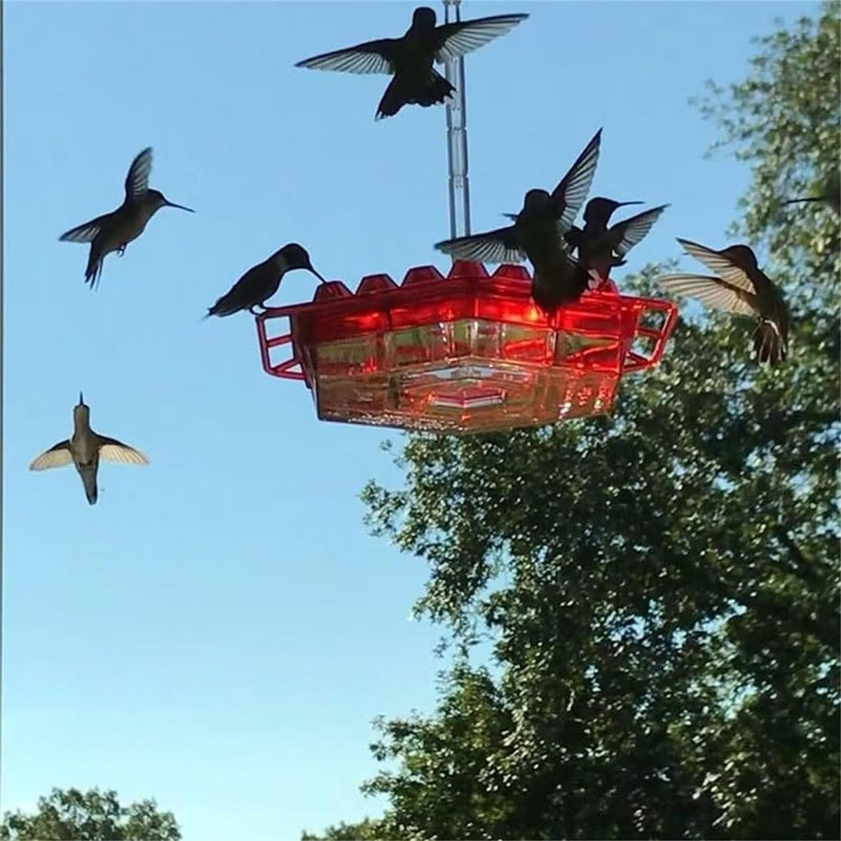 BirdBliss - Hanging Hummingbird Feeder – image 8