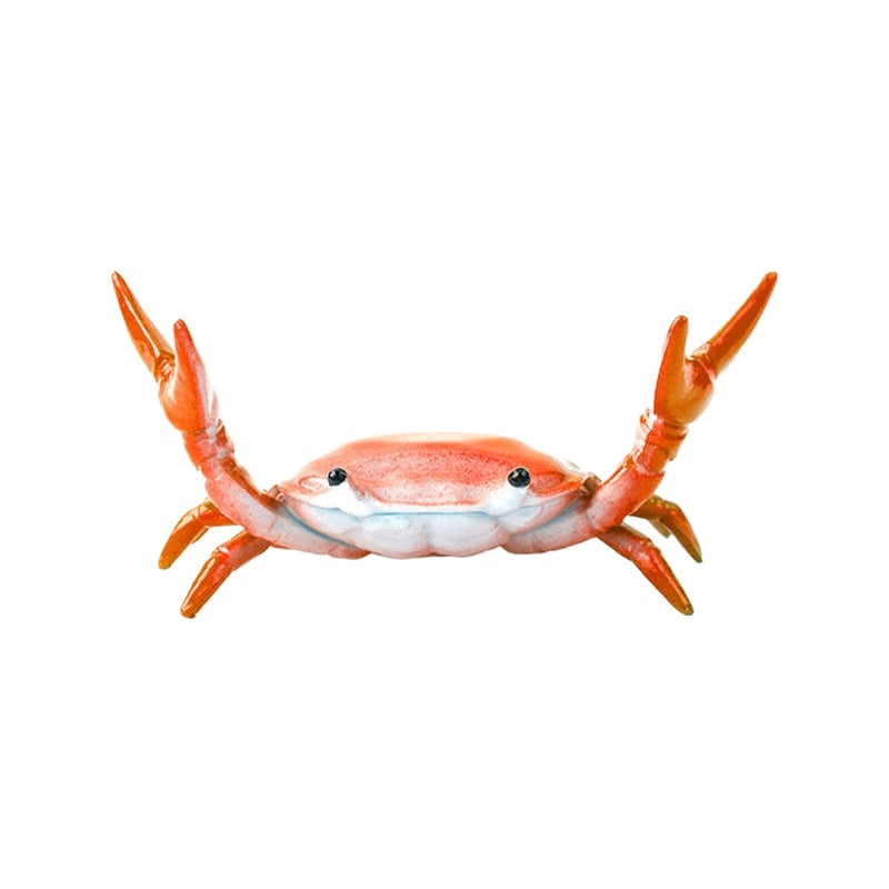 CrabFlex – Weightlifting Crab Pen Holder – Red
