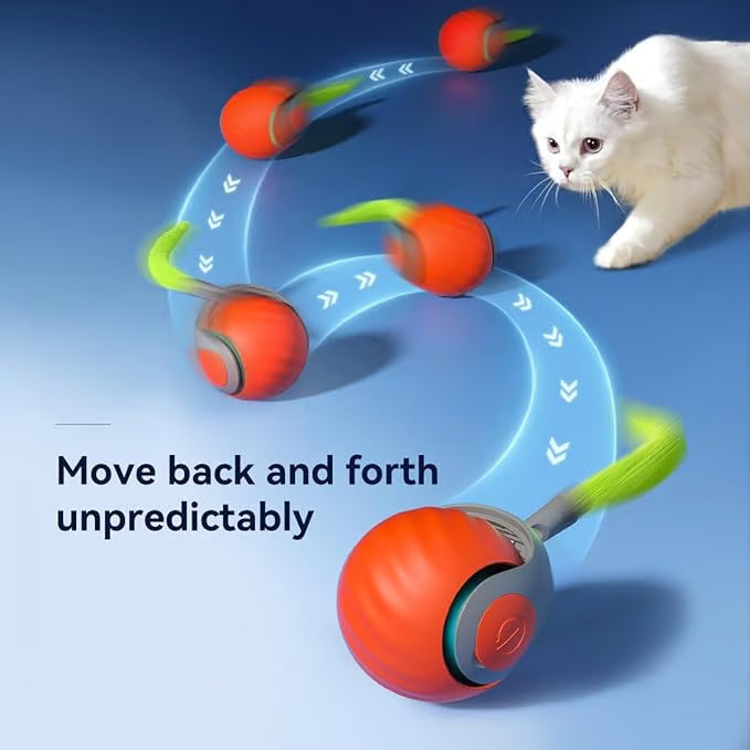 CatChase – Electric Rolling Ball – image 4