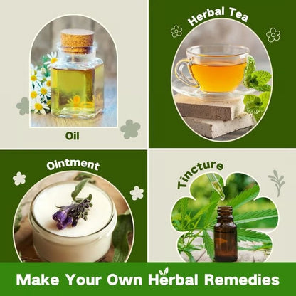 The Ancestral Apothecary Seed Chest: 40 Varieties of Medicinal Herb Seeds – image 12