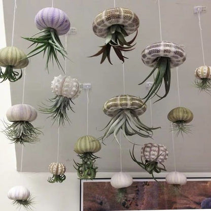 AquaBloom – Hanging Air Plant Jellyfish – image 9