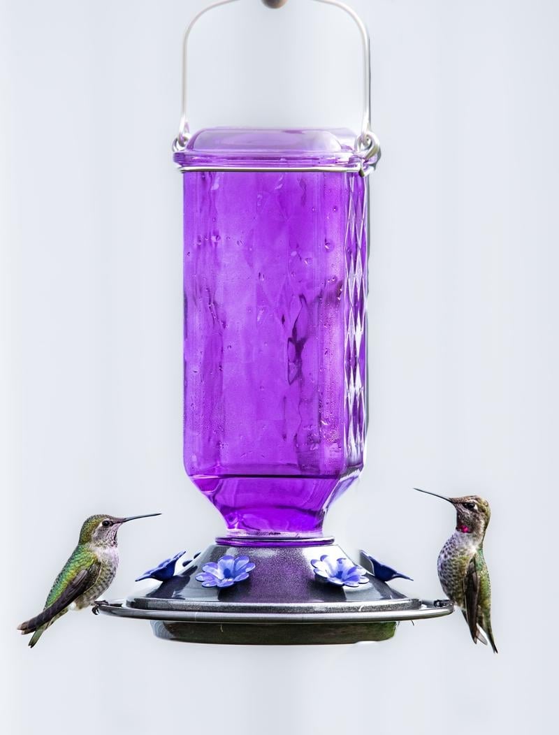 BloomNest – Hummingbird Nectar Feeder – image 8