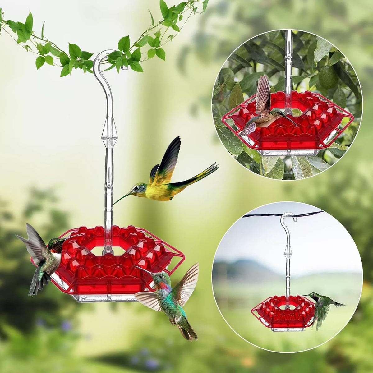 BirdBliss - Hanging Hummingbird Feeder – image 5